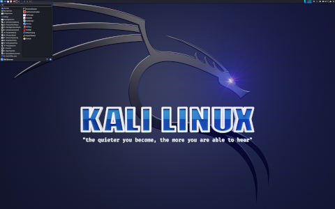 Kali Linux 2023.4 64-Bit DVD