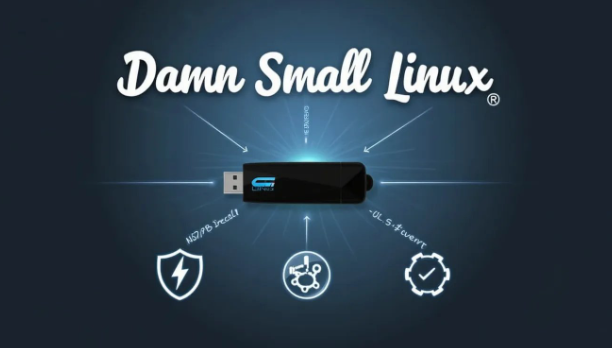 Damn Small Linux su USB: Caratteristiche e Vantaggi